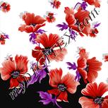 Colour:B