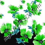 Colour:C
