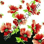 Colour:K