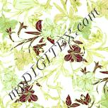 Colour:K