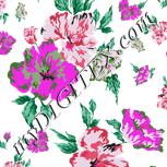 Colour:B