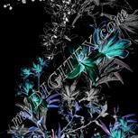 Colour:F