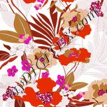 Colour:B