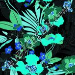 Colour:F