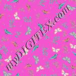 Colour:B