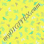 Colour:K