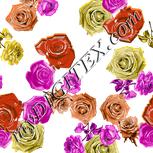 Colour:B