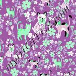 Colour:C