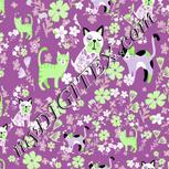 Colour:D