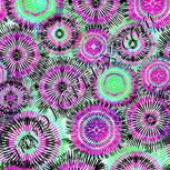Colour:C