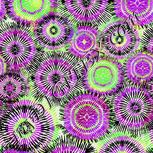 Colour:D