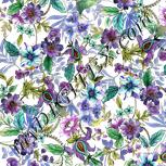Colour:A