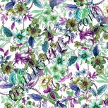 Colour:B