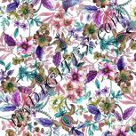 Colour:C