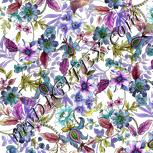Colour:D