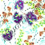 Colour:K