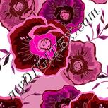Colour:B