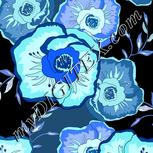 Colour:F