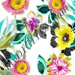 Colour:A