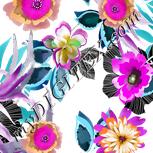 Colour:B