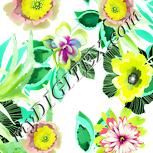 Colour:K