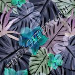 Colour:F