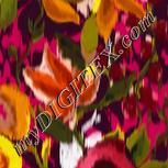 Colour:A