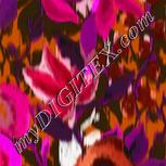 Colour:B