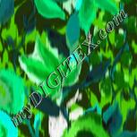 Colour:C