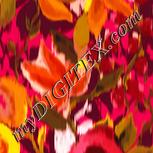 Colour:J