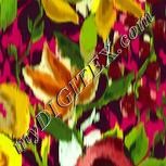 Colour:K