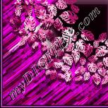 Colour:C