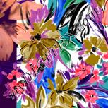 Colour:B