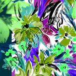 Colour:C