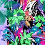 Colour:F