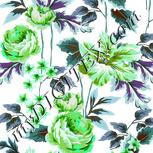 Colour:C