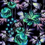 Colour:F