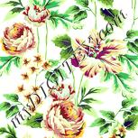 Colour:K