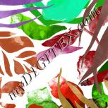 Colour:C