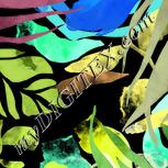 Colour:F