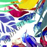 Colour:K