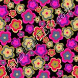 Colour:B
