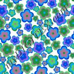 Colour:F
