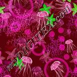 Colour:C