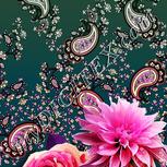 Colour:B