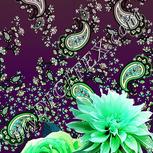 Colour:C