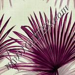 Colour:D