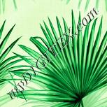 Colour:K