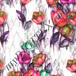 Colour:B