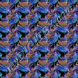 Colour:F